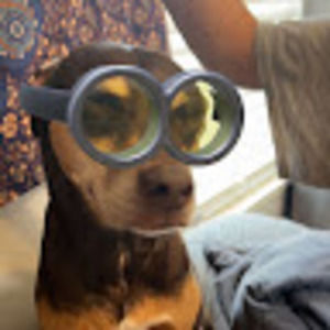 Meet your Posher, Mason